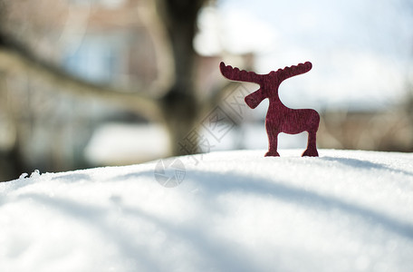 雪上木制圣诞鹿形状背景图片