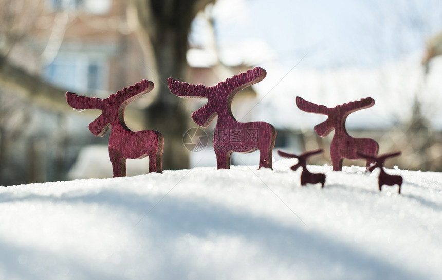 雪上木制圣诞鹿形状图片