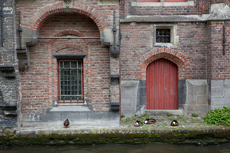 红色门和的旧楼以及水管上的窗户典型布丁红色门和窗户图片