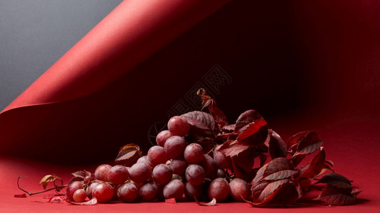 新鲜成熟的红葡萄叶子呈红色红色背景上成熟新鲜的红葡萄图片
