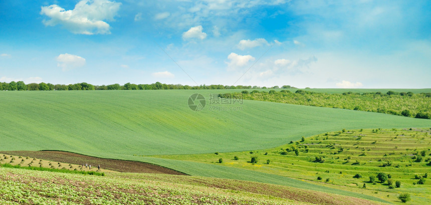 山丘绿地蓝天空农业景观宽阔的照片图片
