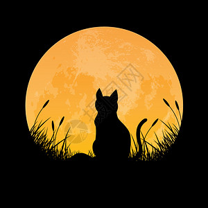 坐在长凳上猫猫坐在草地上满月背景矢量插图设计图片