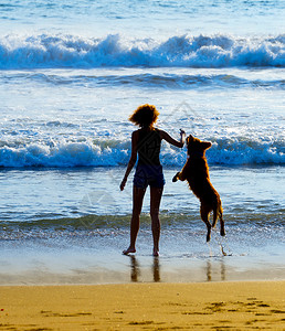 女人在海滩上跟狗玩图片