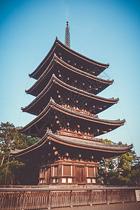 纳拉公园的库吉寺塔日本科库吉寺塔纳拉雅潘背景图片