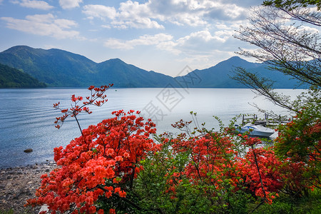 JapnNiko公园的chuzenji湖风景和红花高清图片