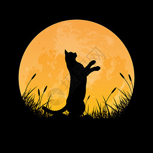 猫腿猫在草地上站立的脚影满月背景矢量插图插画
