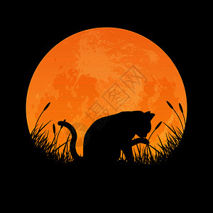 猫舌头以满月背景矢量插图的形式在草地上锻炼自己插画