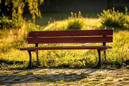 秋日阳光下的公园长椅图片
