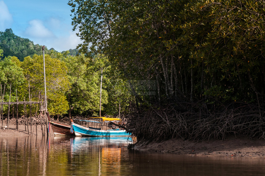 在红树林中的长尾渔船和在科隆兰塔克拉比泰河沿岸的热带运图片
