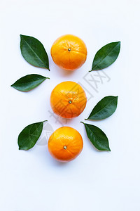 橙色水果和白背景的叶子图片
