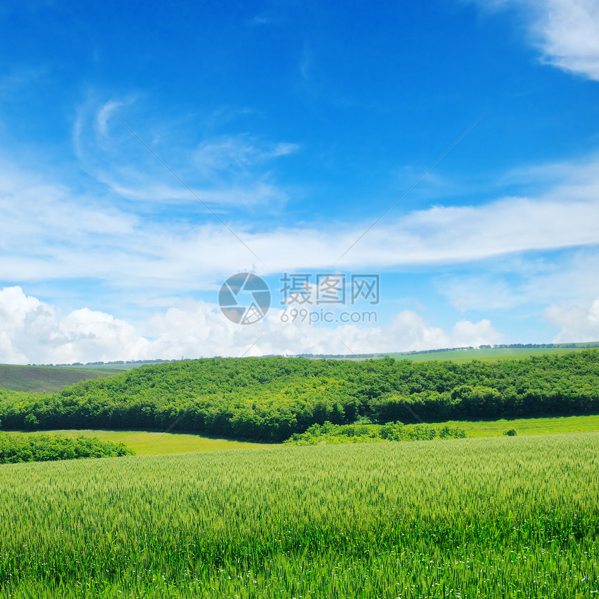 绿地和蓝天空云彩明亮农业地貌图片