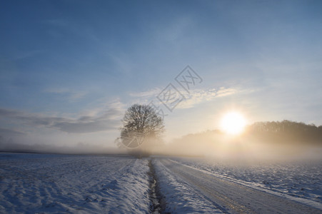 冬季风景乡村道路和农田图片