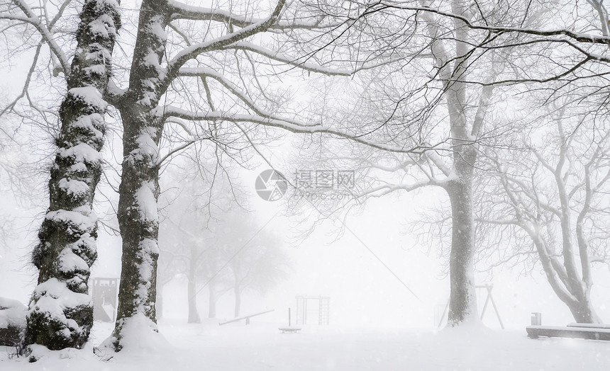 冬季公园的雪景图片