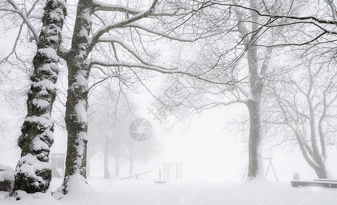 冬季公园的雪景图片