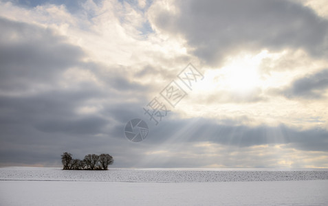 积雪覆盖的草原一连串树木和一束戏剧天空阳光穿透云层最小的冬季风景图片