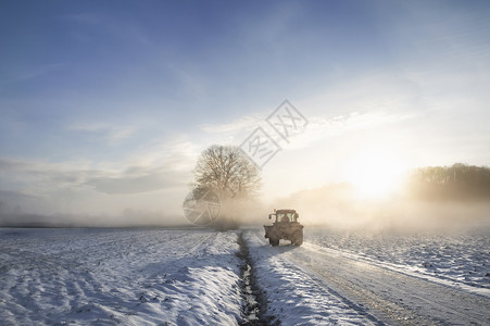 在雪路上的拖拉机背影在日出时穿过一片被雪覆盖的农田穿过雾图片