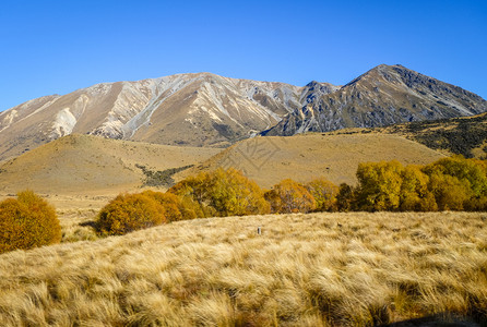 格雷茅斯新西兰山丘的区地貌新西兰山丘区地貌新西兰的山区地貌背景