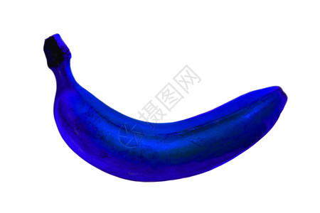 白色背景上孤立的蓝色香蕉白底蓝香蕉背景图片