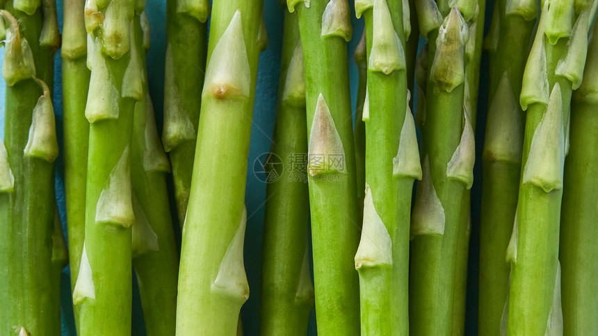 生的新鲜的绿色芦笋为有机素食美味新鲜健康的配料特写镜头和掠夺新鲜绿芦笋生食特写图片