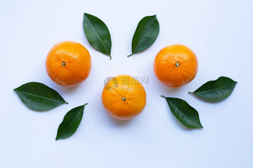 新鲜橙色柑橘水果白底叶片分离图片