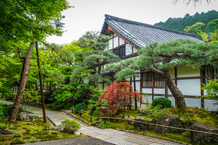 建水朱家花园日本京都岚山竹林中的jojakkoji神殿日本京都的jojakkoji寺庙背景