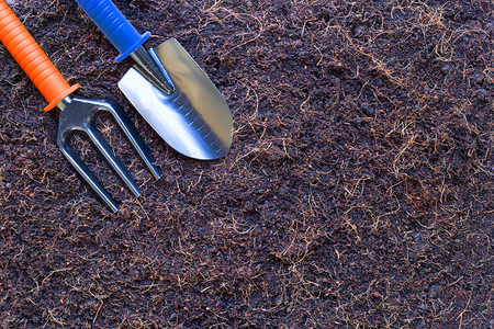 花园铲子和土壤上的叉带有椰贝壳和用于农业的毛发图片
