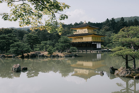 日托古代电影风格的日本山庙用的木叶树图片