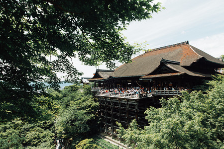 青叶的日本寺庙以京都的古代电影风格配绿色叶子的日本寺庙图片