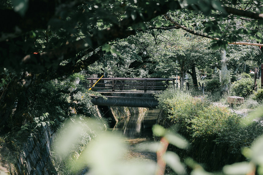 日本桥架式花园图片