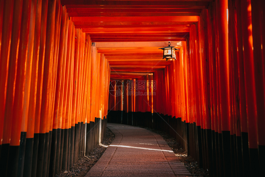 夜里在法希米因纳神庙的tholi通道大门和日本的淋雨京都图片