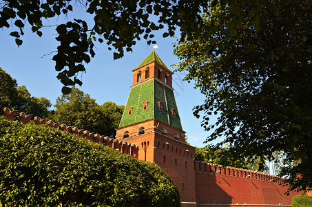俄罗斯莫科古代建筑莫斯科克里姆林树的塔台背景