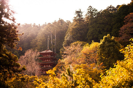 哈希德寺庙的五座塔位于山里建六世纪高清图片