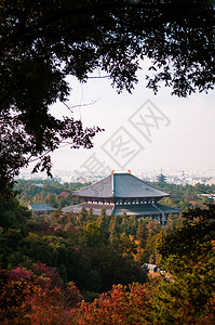 东京寺庙主大厅的远处观望图片