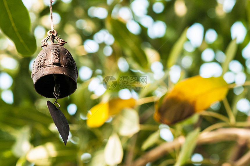 在热带花园的树上挂着小铁铃有美丽的阳光挂在热带花园的树上图片