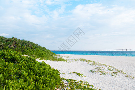 宫古蓝清蓝水白沙和库里马桥位于梅哈海滩背景