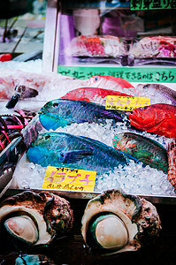 在马基希第一公共市场当地海产食品店的绿色黑鹦鹉鱼高清图片