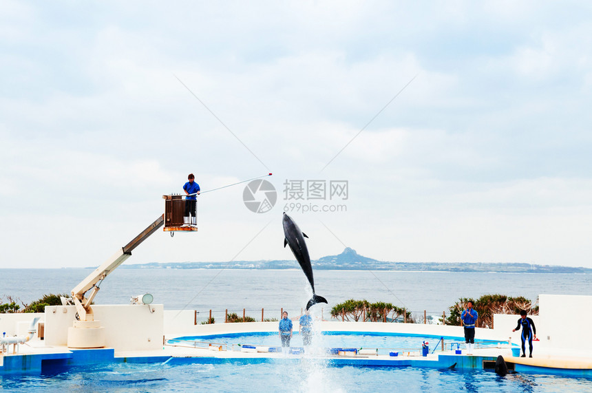 2013年月8日Jjan28013nahokinwjpn在okiawchurmi水族馆的海豚展图片