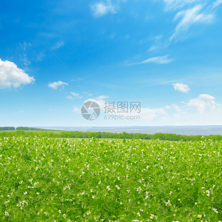 绿地和蓝天空云彩明亮图片