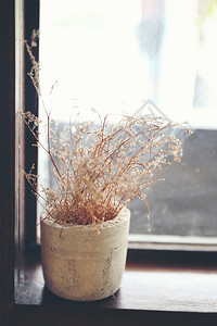 木窗上的花瓶中干植物朵图片