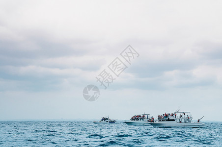 在冲绳县那霸多云的天气里游船在海上等待观赏鲸鱼高清图片