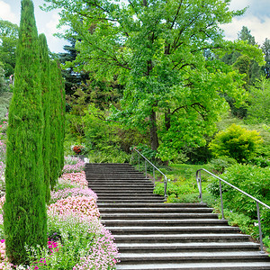 花园和其他植物楼梯和mainu岛的瀑布花棚德国图片