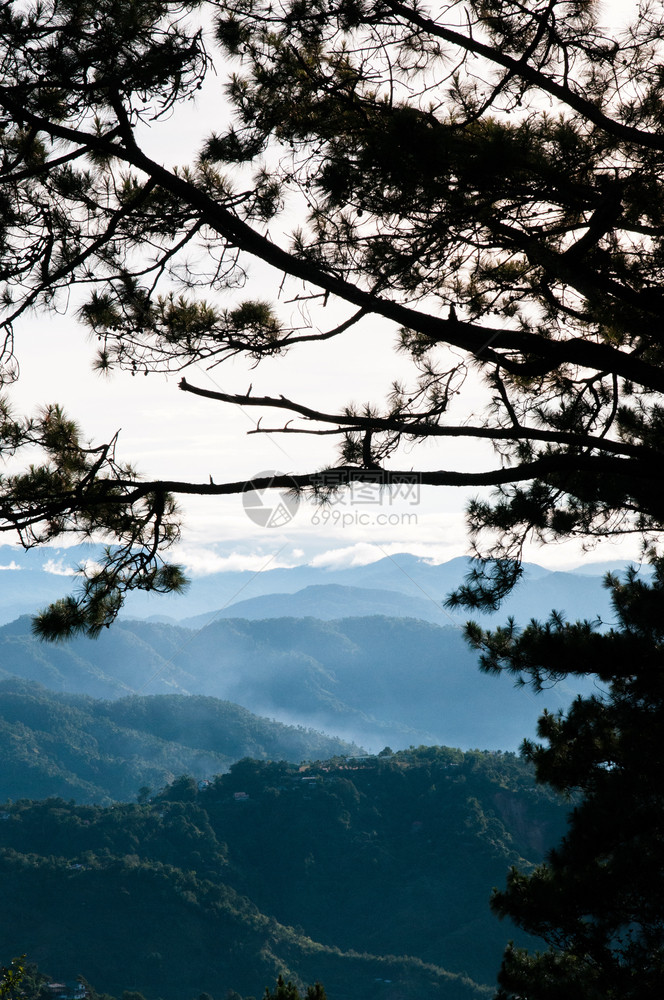 夏季或春在巴古约吕松岛平流山林中美丽的地景色图片