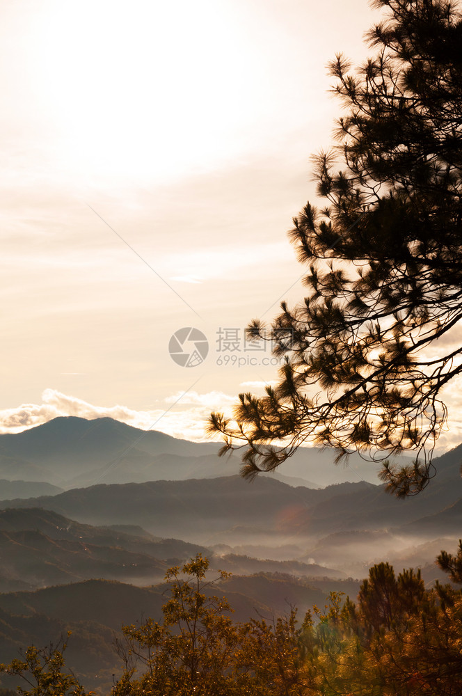 夏季或春在巴古约吕松岛平流山林中美丽的地景色图片