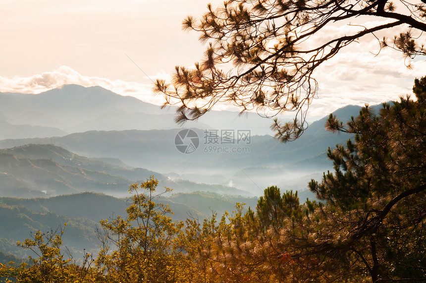 夏季或春在巴古约吕松岛平流山林中美丽的地景色图片