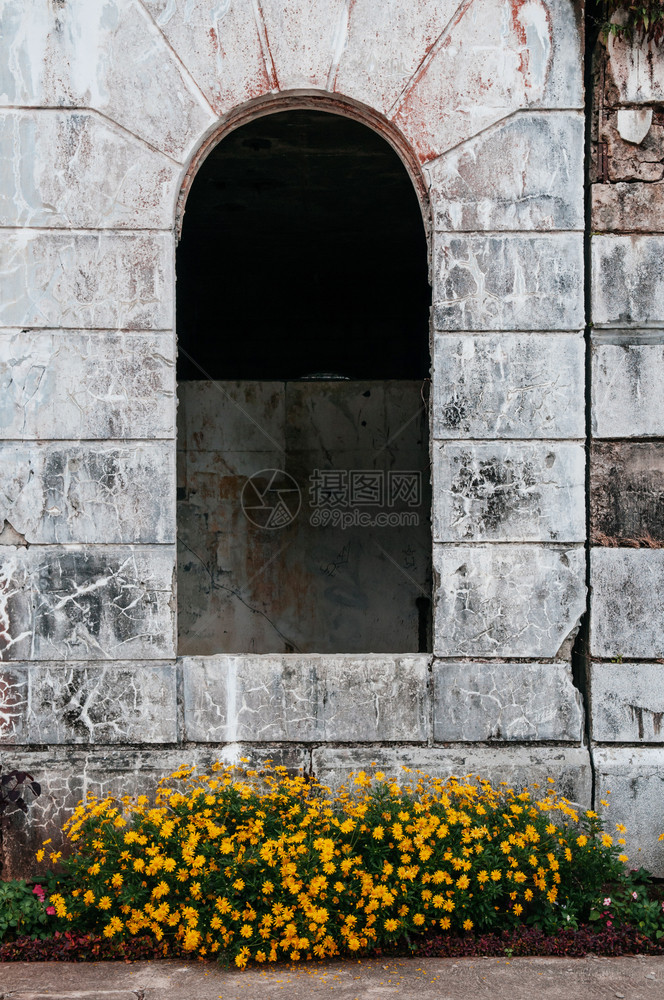 多米尼干山丘后退房拱窗有木乃花灌巴古伊奥菲利平图片
