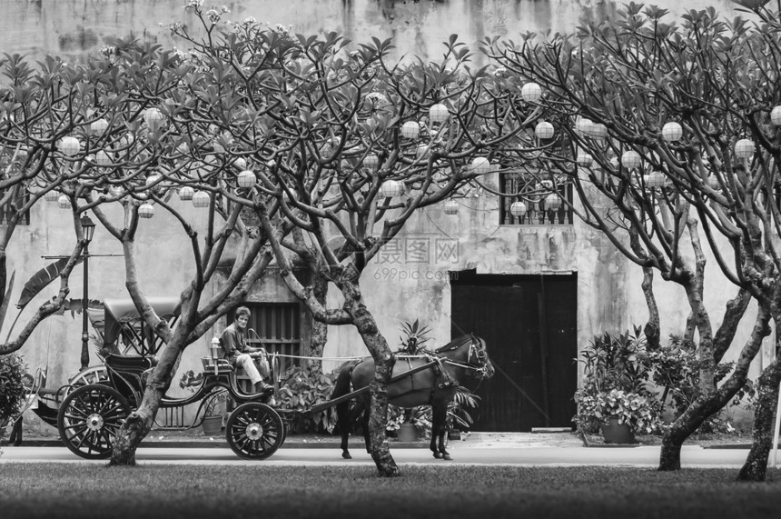 在圣地亚哥城堡公园门前的一辆马车图片