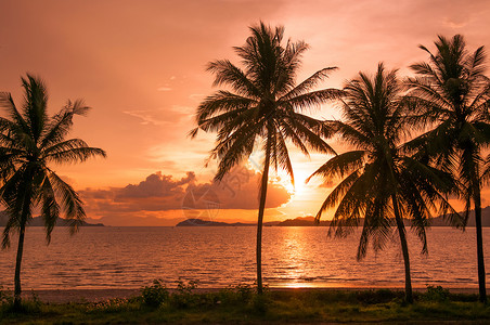 沙滩日落椰子树兰东省泰王国背景图片