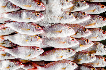 鱼类市场上的冰鱼背景图片