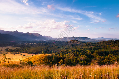 金色草地和清晨沙兰东山谷的景象图片