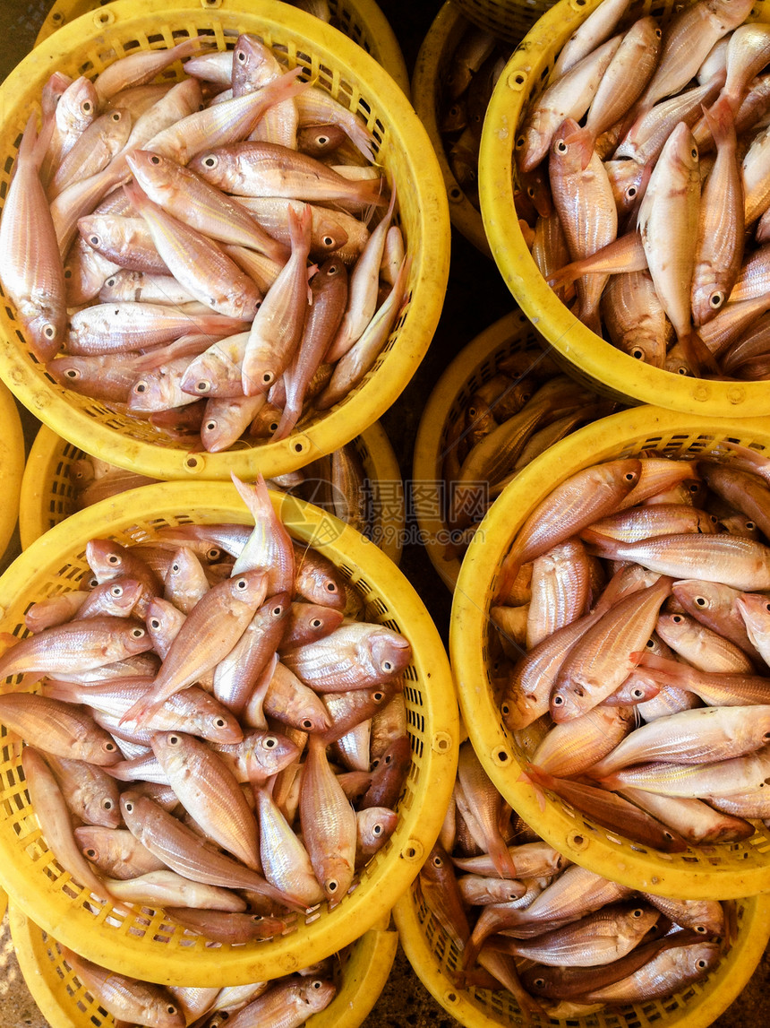 在泰国的鱼市场中在冰上捕食的鱼图片
